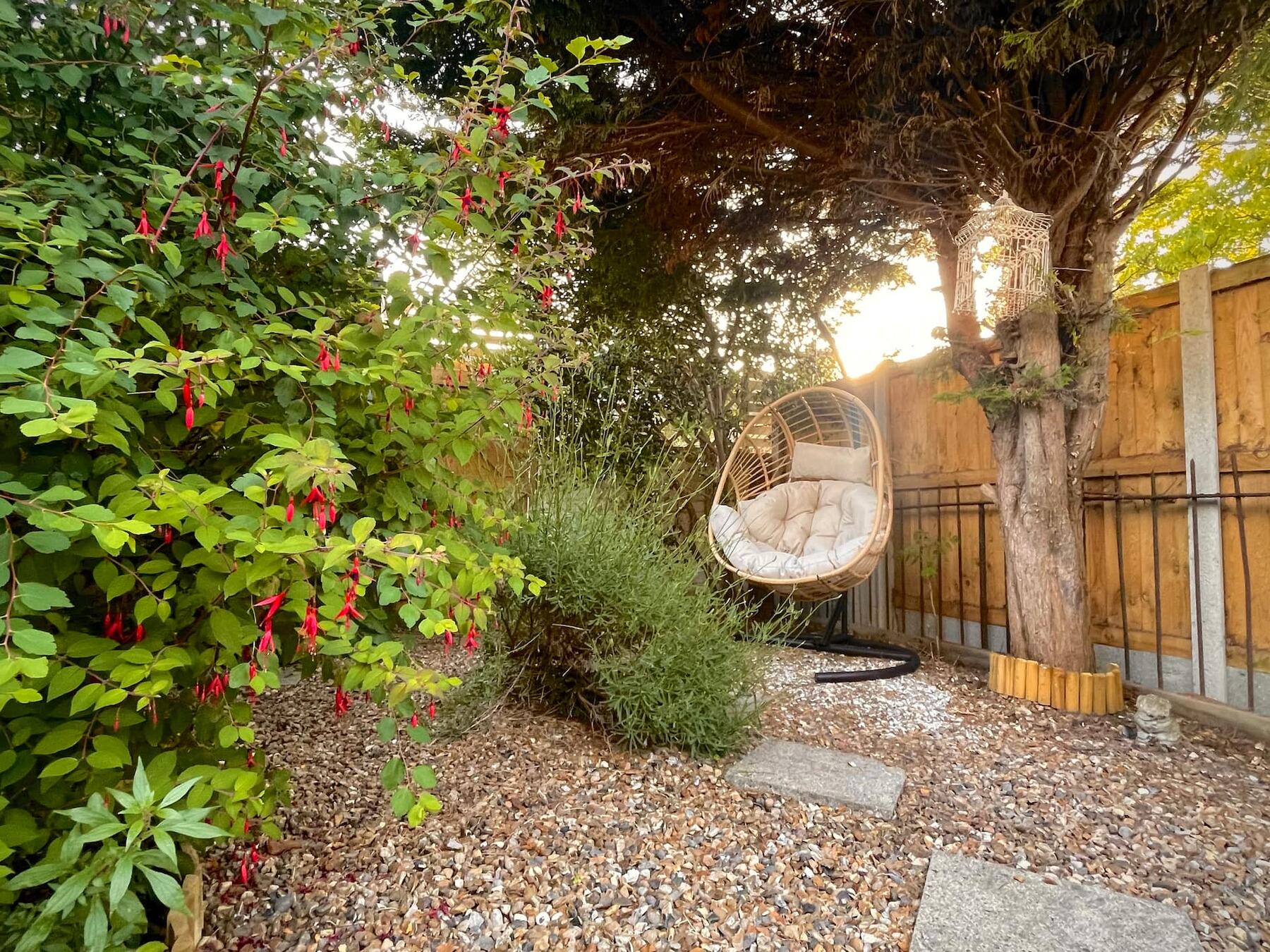 The back garden with its swing seat
